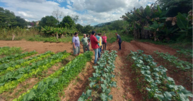Curso sobre produção de caldas biofertilizantes fortalece práticas sustentáveis no meio rural de Lindoia