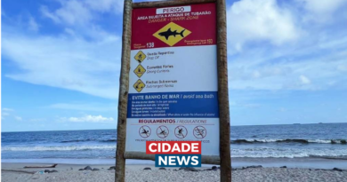 Criança de 11 anos é atacada por tubarão na praia de Piedade, no Grande Recife Criança de 11 anos é atacada por tubarão na praia de Piedade, no Grande Recife